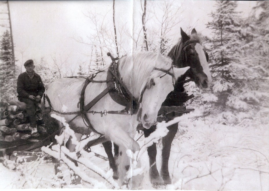 Unknown Artist Opa